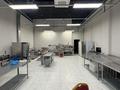 Свободное назначение, общепит · 1251 м² за 11 млн ₸ в Астане — фото 16