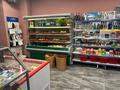 Магазины и бутики, общепит · 200 м² за 118 млн ₸ в Караганде, Казыбек би р-н — фото 5