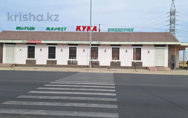 Магазины и бутики, общепит · 252 м² за 52 млн ₸ в Баскудуке — фото 2