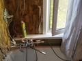 2-бөлмелі пәтер · 46.6 м² · 2/2 қабат, Гурбы 46-6, бағасы: 6.5 млн ₸ в Сатпаев — фото 5