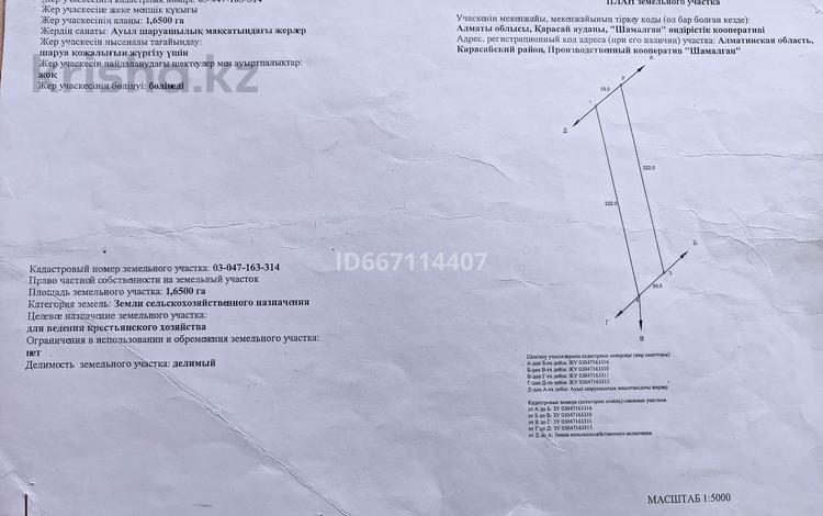 Участок · 1.65 га, Шамалган — Северная за 25.5 млн ₸ — фото 3