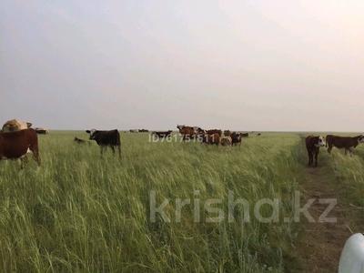 Бизнес в Абай обл.: Фермерское Хозяйство · 2200 м², бағасы: 100 млн 〒 Фермерское Хозяйство · 2200 м², бағасы: 100 млн 〒 в Семее