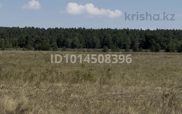 Участок · 20 соток, У.Ибрая за ~ 11.1 млн ₸ в Бурабае — фото 2