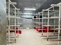 Зауыт · 80 сотық, Жибек жолы б/н, бағасы: 700 млн ₸ в Аксукенте — фото 23