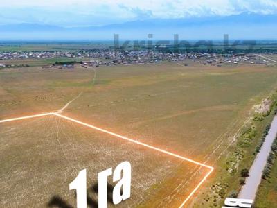 Жер телімі · 1 га, Жалқамыс, бағасы: 65 млн ₸ в Жалкамысе