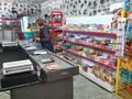 Магазины и бутики · 473 м² за 100 млн ₸ в Караганде — фото 24