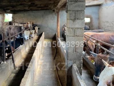 Промбаза · 80 га, Алғабас 1 за 16 млн ₸ в 