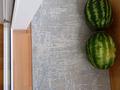 2-комнатная квартира · 46 м² · 3/5 этаж, мкр Таугуль — Ул.Пятницкого - ул.Шалова за 45.6 млн ₸ в Алматы, Ауэзовский р-н — фото 25