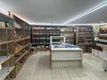 Свободное назначение · 147 м² за 43 млн ₸ в Астане, Алматы р-н — фото 3