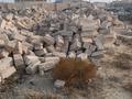 Участок · 15 соток, 4 квартал 739 — Возле трасса за 4.5 млн ₸ в Саина Шапагатовой — фото 6
