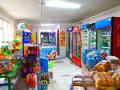 Магазины и бутики • 108 м² за 38.5 млн 〒 в Шамалгане — фото 12