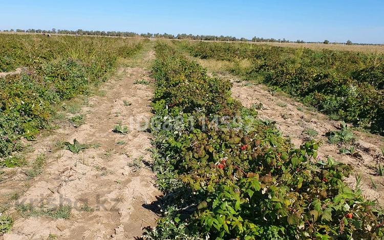 Участок · 5 га, Теренкара за 60 млн 〒 — фото 2