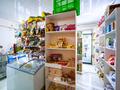 Магазины и бутики · 37 м² за 29 млн 〒 в Алматы, Наурызбайский р-н — фото 9