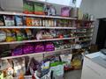 Магазин зоотоваров и хозтоваров · 22 м² за 2.8 млн ₸ в Алматы, Бостандыкский р-н — фото 13