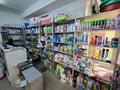 Магазин зоотоваров и хозтоваров · 22 м² за 2.8 млн ₸ в Алматы, Бостандыкский р-н — фото 15