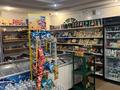 Магазины и бутики · 108 м² за 700 000 ₸ в Астане, Сарыарка р-н — фото 3
