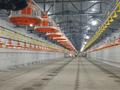 Зауыт · 10 га, 1 1 — Сары завод, бағасы: 550 млн ₸ в Атакенте — фото 10