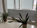 2-бөлмелі пәтер · 60 м² · 5/9 қабат, Камзина 41/1, бағасы: 25 000 ₸ в Павлодаре — фото 6