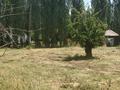 Участок · 90 соток, Құралов 26 за 22 млн ₸ в Жанабазаре — фото 9