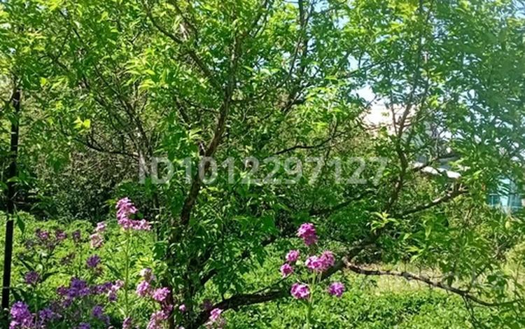 Саяжай · 2 бөлме · 40 м² · 10 жүзд., Земляничная — Спутник дачи, бағасы: 1 млн ₸ в Сатпаев — фото 2