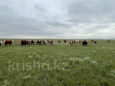 Участок · 3000 га, Сарепта орталык за 61 млн ₸ в Абае