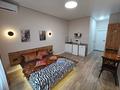 1-комнатная квартира · 20 м², Розыбакиева 197/2 за 23 000 ₸ в Алматы, Бостандыкский р-н — фото 3