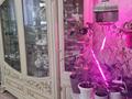 Жеке үй · 4 бөлме · 180 м² · 10 жүзд., Өркен ш/а., 27 13, бағасы: 45 млн ₸ в Атырау, мкр Оркен — фото 7