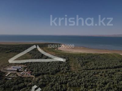 Жер телімі · 10 га, Күш, бағасы: 65 млн ₸ в Куше