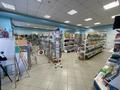 Еркін, дүкендер мен бутиктер · 930 м², бағасы: 450 млн ₸ в Костанае — фото 26