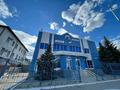 Еркін, дүкендер мен бутиктер · 930 м², бағасы: 450 млн ₸ в Костанае — фото 3