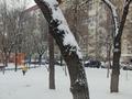 2-бөлмелі пәтер · 60.6 м² · 2/12 қабат, Майлина 54, бағасы: 44.5 млн ₸ в Алматы — фото 11