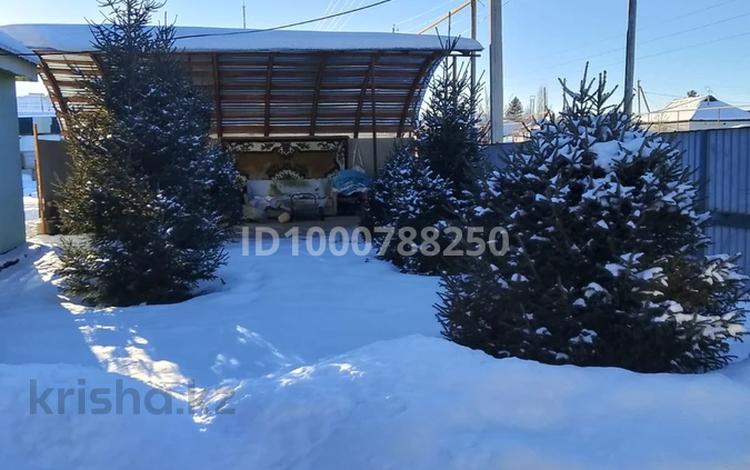 Отдельный дом · 4 комнаты · 200 м² · 20 сот., Панфилова 32 за 24 млн 〒 в Зайсане — фото 20