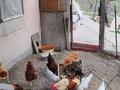 Жер телімі · 16 сотық, 2-я линия 132 — Пск Жетысу кульжинский тракт 68км, бағасы: 6 млн ₸ в Акши (Енбекшиказахском районе) — фото 9