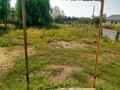 Отдельный дом · 3 комнаты · 70 м² · 50 сот., Ушырбакиев П3 Паз3 — Ушырбакиев за 38 млн ₸ в  — фото 9