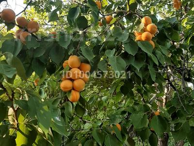 Отдельный дом · 3 комнаты · 110 м² · 8.5 сот., Тополёк 62 — ул. Кайдауыл Батыра за 60 млн 〒 в Актобе, жилой массив Заречный-2