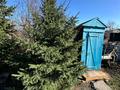 Отдельный дом · 3 комнаты · 65 м² · 5 сот., Солнечная 54 за 9 млн ₸ в Усть-Каменогорске — фото 57