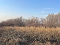 Участок · 5 га, АкБулак — ПК им. Рыскулова за 200 млн ₸ в Талгаре — фото 10