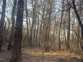 Участок · 5 га, АкБулак — ПК им. Рыскулова за 200 млн ₸ в Талгаре — фото 8