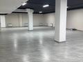 Еркін · 262 м², бағасы: 105 млн ₸ в Астане, Есильский р-н — фото 7