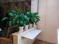 2-бөлмелі пәтер · 71 м² · 6/6 қабат, Көкжиек ш/а. 14, бағасы: 35 млн ₸ в Алматы, Жетысуский р-н — фото 18