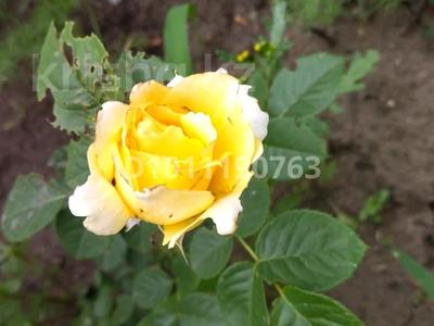 Саяжай · 2 бөлме · 10 м² · 4 сот., Текстильщик 2 7, бағасы: 30 000 〒 в Костанае