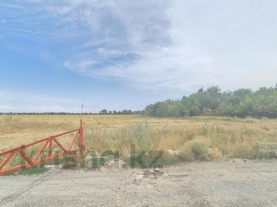 Участок · 45 га, Панфилово (Табаксовхоз) за 260 млн 〒