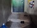 Отдельный дом · 6 комнат · 160 м² · 10 сот., Кондитерская ул. 54 за 33 млн ₸ в Караганде, Казыбек би р-н — фото 18
