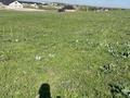 Участок · 15 соток, Акх Казмис 9800 — Коксай за 21 млн ₸ в Иргели — фото 3
