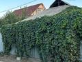 Отдельный дом · 4 комнаты · 60 м² · 6 сот., Ангарская 11 — Дом находится за барахолкой , базар Салем за 55 млн ₸ в Алматы, Жетысуский р-н — фото 6