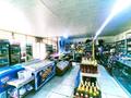 Магазины и бутики, общепит • 315 м² за 65 млн 〒 в Талдыкоргане — фото 6