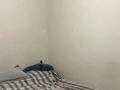 3-бөлмелі пәтер · 63.7 м² · 2/10 қабат, Майкудук, Голубые пруды 6, бағасы: 27 млн ₸ в Караганде, Алихана Бокейханова р-н — фото 11