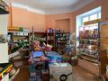 Магазины и бутики • 150 м² за 50 млн 〒 в Шымкенте, Абайский р-н — фото 4