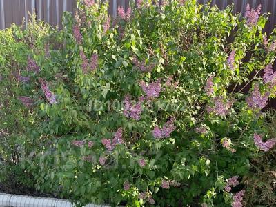 Отдельный дом · 4 комнаты · 230.6 м² · 8.6 сот., мкр Самал, Нурлы жол 2 "д" за 65 млн 〒 в Атырау