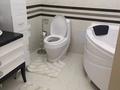 5-комнатная квартира · 257 м² · 3/7 этаж, Зенкова за 282 млн ₸ в Алматы, Медеуский р-н — фото 15